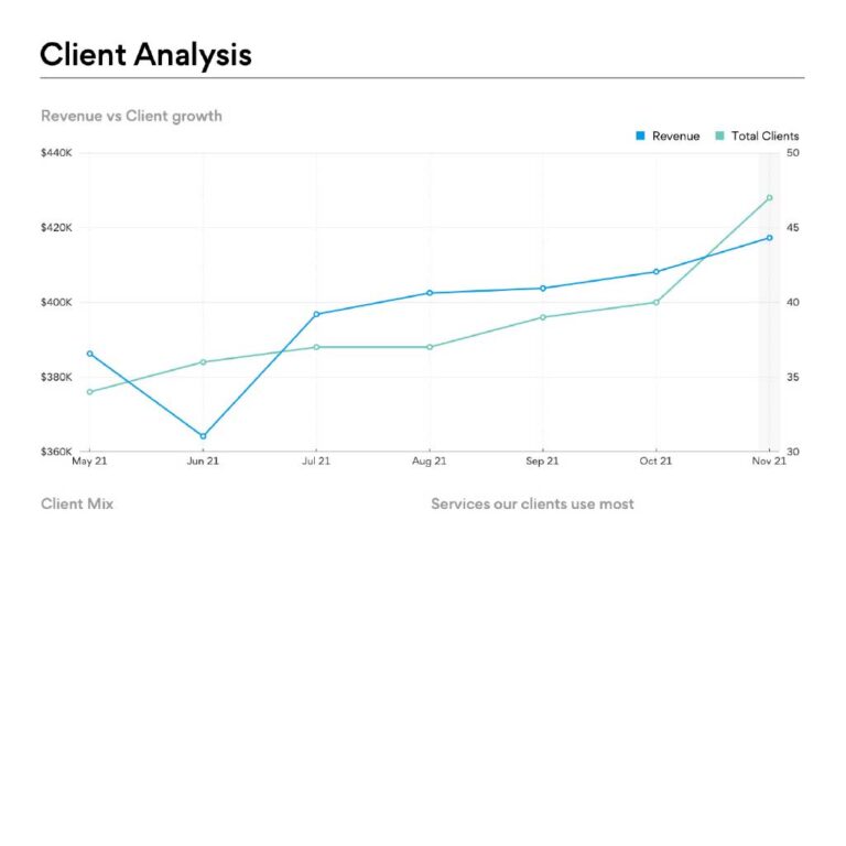 Management-Accounts_The-insight-tool-every-growing-SME-needs_Client-Analysis_Revenue-vs-client-growth_1024x1024-12