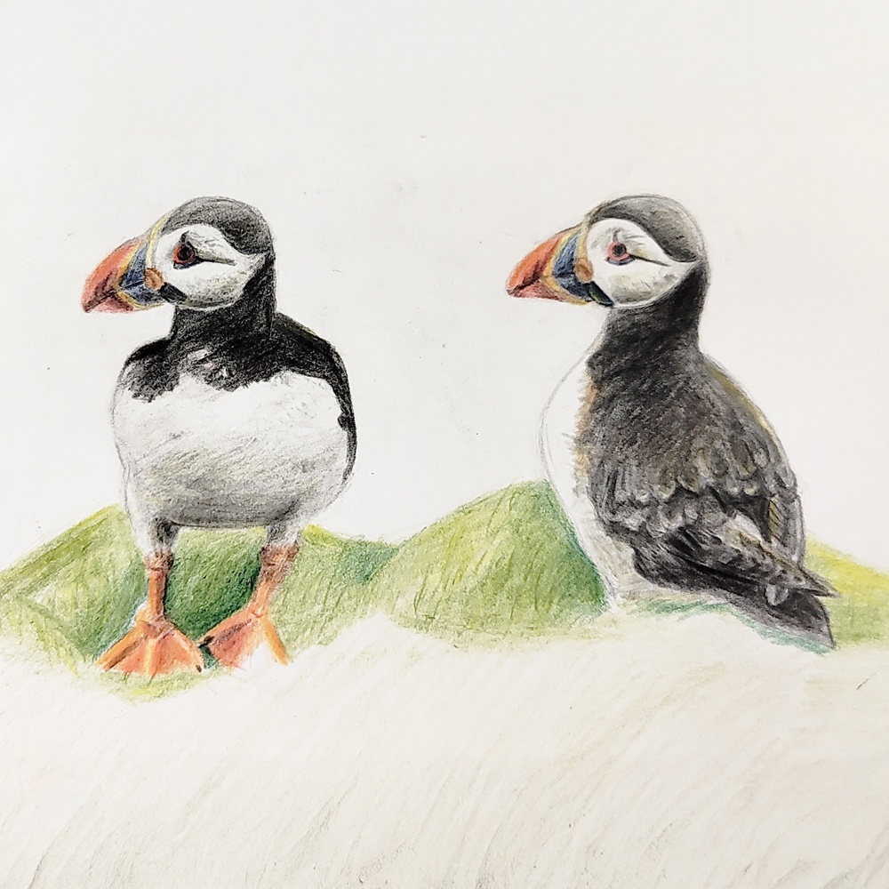 Megan Hunter's Puffin's