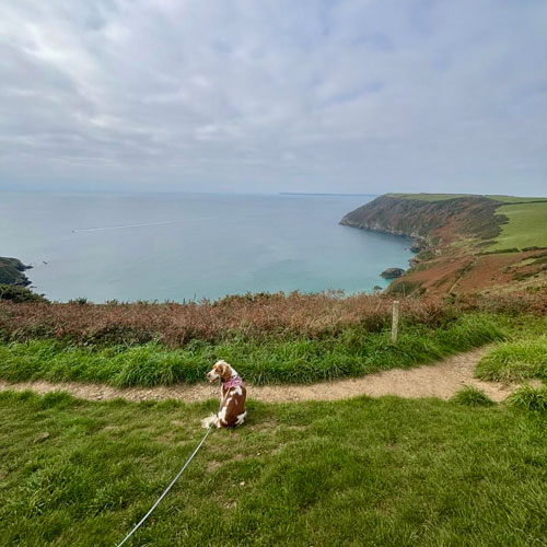 Cornish Coast Path Challenge - Harland Accountants raise money for Cornwall Mind