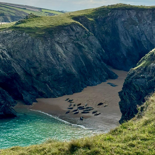 Cornish Coast Path Challenge - Harland Accountants raise money for Cornwall Mind