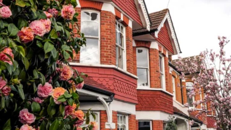 Landlords and property investors: Cornwall Lettings Group A company-owned mix of long-term rentals and holiday lets. Dividend tax rises from April 2026 and tightening IHT rules affect long-term strategy.
Their focus: structure review, timing of disposals and dividend planning.
Harland support: property structuring and long-term forecasting.