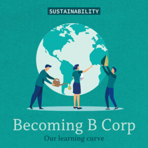 B Corp certified accountants